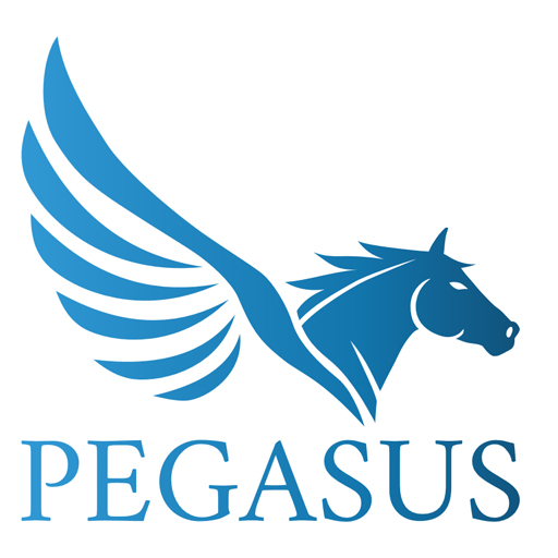 Pegasus Pool and Spa Site Icon